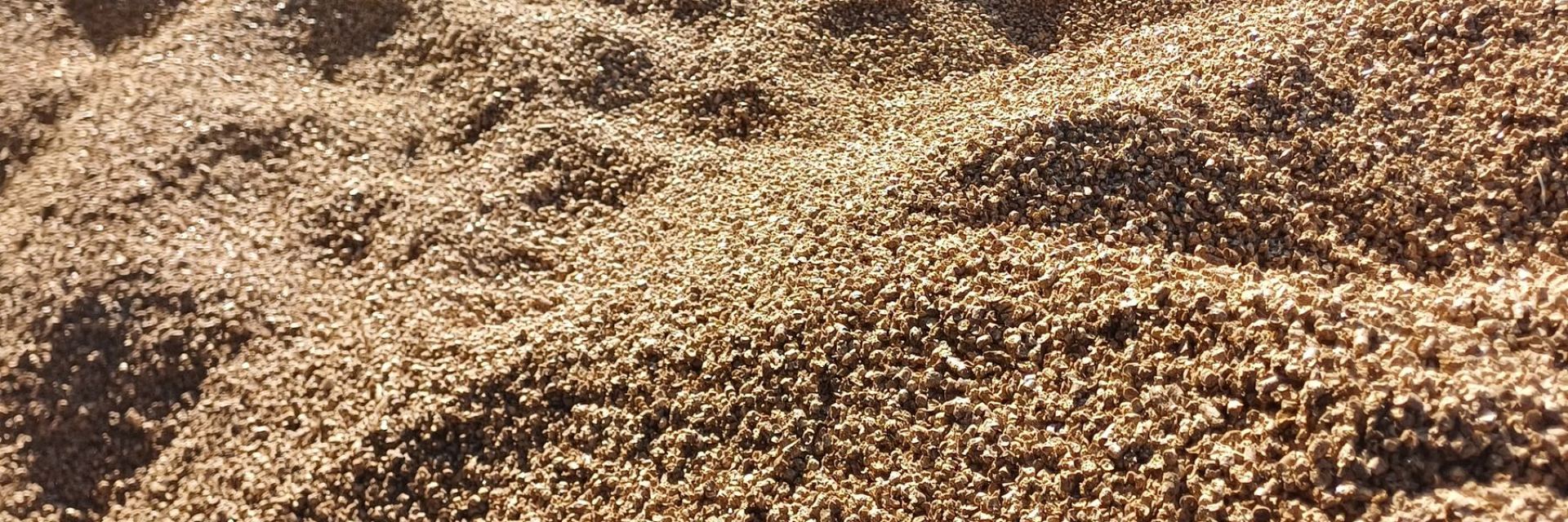 Strohpellets